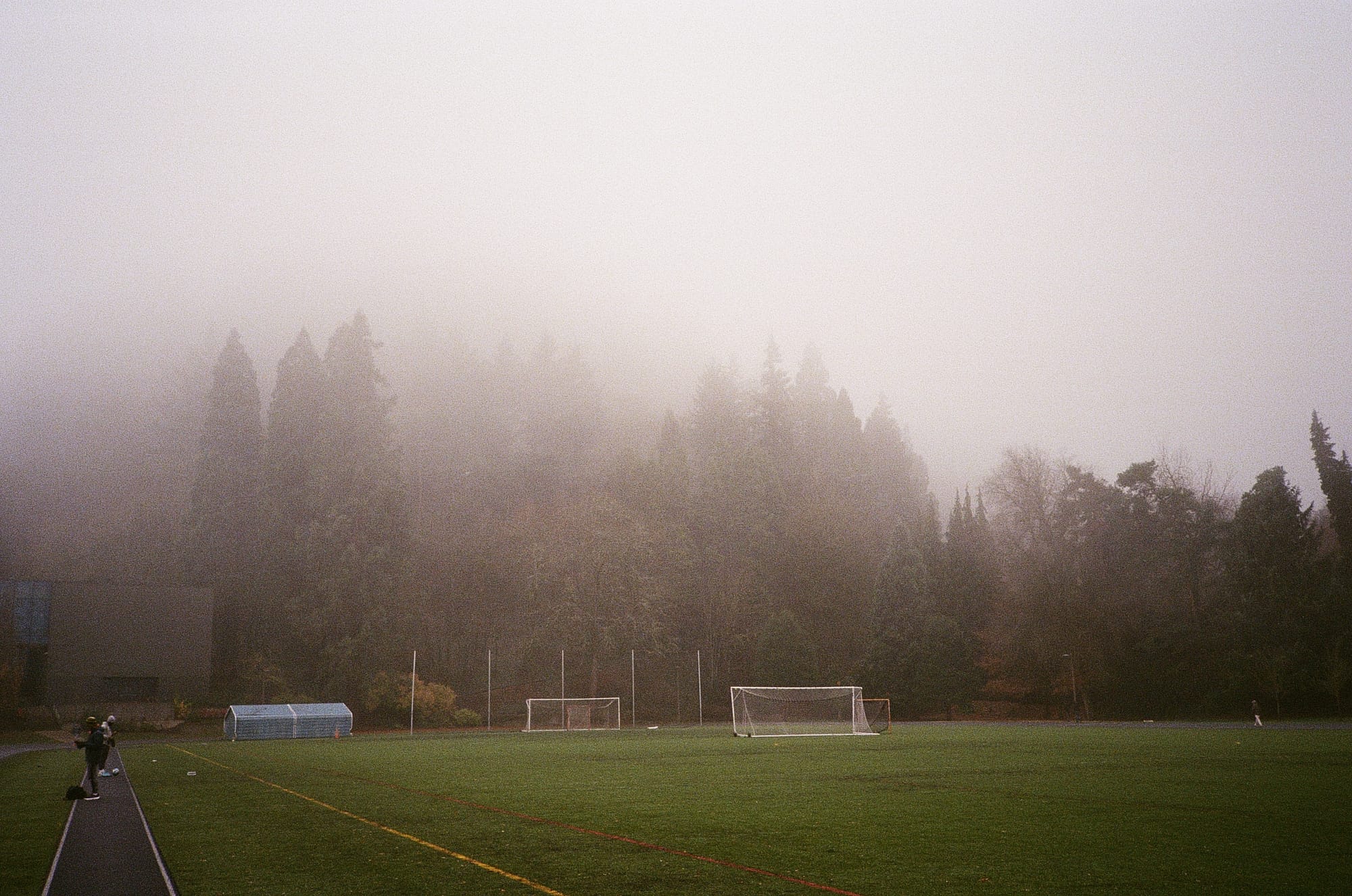 A turf field next to an evergreen forest. The tops of the trees disappear into the clouds.