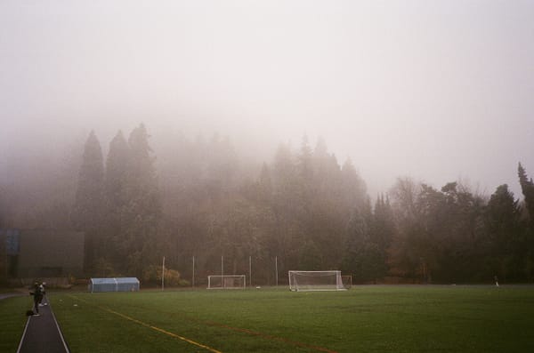 A turf field next to an evergreen forest. The tops of the trees disappear into the clouds.